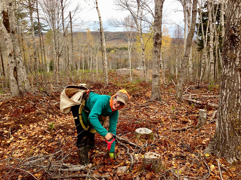 Woman digging to hole to plant a sapling for One Tree Planted