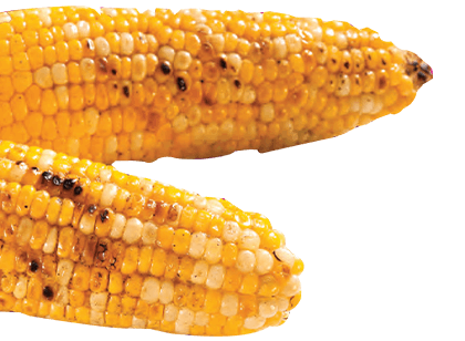 Corn, no matter where you choose to store